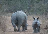 2020-03-05/a477d24ae067f968935d43e2fa44e490_a50dbe2805c54409a7f1faaf81980fda