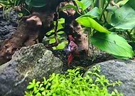 2020-03-06/722260ad4cad699f229a9a13f034cf9e_aa8a71ffe19af9e5870f169e0c490085