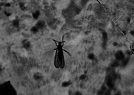 2020-03-07/1d8bba40b37c51ba7ddd1013ef091b4d_9086d9a53104c29dd3e963a6dc48d1bd