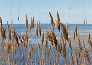 2020-03-07/a6157b9ce4ceb98310559fe92f528a18_632608a61b7646e76356a05f7fc6a3d8