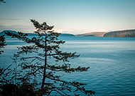 2020-03-08/16072eada351b022143fa8e2e4ad0c13_b2c313b1bda19634bd81b20d386daccf