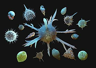 2020-03-09/5f62c5d3742d42c33268b092711a3361_0e5dded1dc20708a7f3342ec7545c6f5