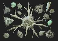 2020-03-09/61b5501997c1cc6b34867e1c228df048_ed7578137f279030c926f66e32d7d36c