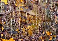 2020-03-11/3d1c0a3e565dbad50f0d03e8cd677329_90e70b6f016ddda97135f5f393c4ae47