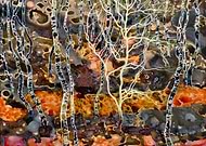 2020-03-11/477faf62d5e943219ab098eaaeef3954_d3d652feca261586898449e81b6ba356