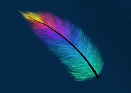 2020-03-14/15a24c359bd24af06bb50cdb5e554bc0_b4486ed9c45fe81fb92bd675740cc1cf