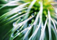 2020-03-16/56fb24b2a529664d86f18d6103395279_ad3d03111d752c9dc5e5250604b86839