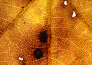 2020-03-16/639aae3d4fdd31450d2d0a514e0e1826_5e7353010c0a927d36457d68091dc5e2