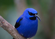 2020-03-17/dab528925aba02af8e0db4ea5bbdbde6_89c1800906af2743ce08668fabc49a79