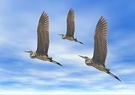 2020-03-19/2d6dbcc84e787e2d123a2350826579fd_37571e3e99168e65fcf58229768dd45f