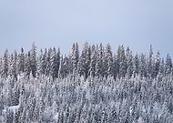 2020-03-25/09d1b32881c15083140753005ef37ae9_f1e6bfddcae70111c1413c04d6b31942