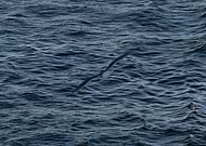 2020-03-26/bb54b505e9bcbc05a558e6f677cfbd54_cafc059a7cd538575e60a8802cf8899a