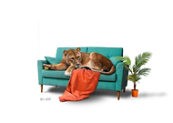 2020-03-30/0a59e50457b0de8de808099cd2f9a407_7368c73bd17893e5a7575659fc2efcb4