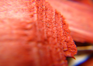 2020-03-30/5b5ce7339942d80dd1120aa52afff57b_42bc6026a714493450b0d38f29ac838d