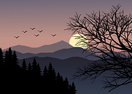 2020-03-30/76573f80a767f016065f5cb4ab4c5c43_45ab76134c873008845cf7f59b871fe3