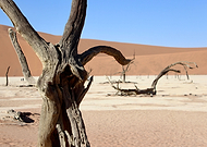 2020-03-31/5a7e5709a09ad7771c3d0938bb875b94_c9adde7134408601f6e2cdb235ec4da2