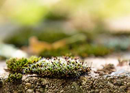 2020-04-01/3fb0e11ef3d661fcbe87786d6ebe9c8b_ab0918d841f0a6948d151f01800dd6d9