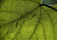 2020-04-01/668756125e325b49fb8b695cc195fc82_e85820037eb5edb3560bc78f7a200c13