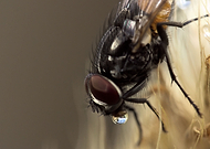 2020-04-02/81bb11558470cc348cef372667dd681c_f09a034ca34691f4c21219d5dbeccff7