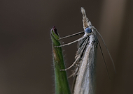 2020-04-02/dc69ae1cac6c56ca3014e15cbac52239_3ed2c1e9e6f7238c8cb7f1a979e7f11a