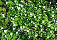 2020-04-04/a836f6a9f5a552f3c10c81bc39b63a0f_47dc6925e0f7a45015498dce0597ca94