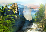 2020-04-05/53bdcf8a6fdb3bef0e97be282272d698_6d047547078ccab1434de9e9017d9edb