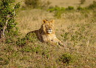 2020-04-07/105ac1e2756854370a309d427f780437_691ecdeeb04b51883ee95da6402186c2