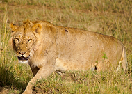 2020-04-07/66f8e60c160d21cf14a7b0589296c2f9_45ff11b3ac17cf1111041645a8c4a7cc