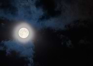 2020-04-09/55781df13fcee6a38ef50de01892e2b6_d9750f98f4dbb5677803dd43276d8a12