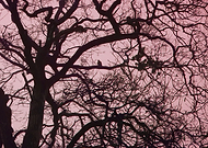 2020-04-10/7e85b848a6b685e5ca6b0994800bb6e7_b6ea2ef7cb21e07f3d046611fe297478