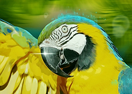 2020-04-11/c1fdcf14be54ced899d8db5e8c9a2bcf_b5986a3327bb69fbaa337f4929f42dd8