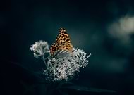 2020-04-16/48c383e5c130d7603f5c7b6eec4c0339_12d7dfe2daad9ce596eb67ab4bdb914f