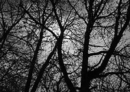 2020-04-17/13aa5a7e87229102b39b7ea366c1d922_06554cd550d1e8b4c713f76e34e71433