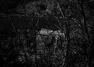 2020-04-17/4dfbdd6055a27e41dea1fdad39ab00c0_ed212fb37b786bf04d49d0da60d10957