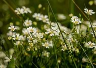 2020-04-17/a549f1157698d9e0412ff524db04c6d8_fa6af9f3e2fc62e780b456c8e4fbf157