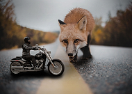 2020-04-18/a5b3c949c905b2ad58c718ecd32d0f6c_ec162ef067d3fd237dc438a87abd86b5