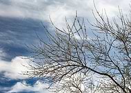 2020-04-20/5da1c7859c7041db760229cef4fbff00_3102b6b42479494f09519cbd7366d0dc