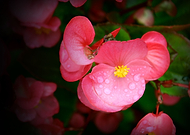 2020-04-21/06c0e11a005a1ca035746855586edfe8_ca5f3867436d0dcc2cb552e41ced77d8