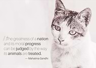 2020-04-21/22b3d88380a7013fc17b408997be2ce2_5ed5af1998979ed52dd9d11d1205ab74