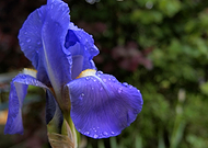 2020-04-22/47807c3ccc703c599e88c3e5b3ccd7f6_3e41e6e63ecbfa39923750ad878f87ea