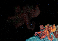 2020-04-23/1e470c526206800f2cc872027ff98b7d_0becc68653c2f6961d150df82c4c2121