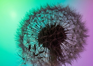 2020-04-24/3e73864415d1c150b4c9f8581e9348ba_cb3a46fd78bb6ecfee6bc9a64765382d