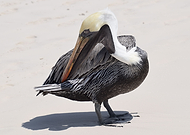 2020-04-25/8b7f8a7429081fc6e91e2fdf1ff80fdd_24cbdd3509c53d748bcc6050cee01f47