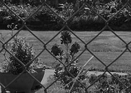 2020-04-28/3c9b12ebd43d52c4a54d8cce440e17a4_d64c6ec56bd91f9b808331eeb7174582