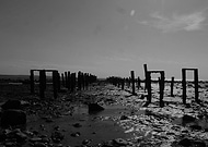 2020-04-28/7f7901791bb6db49d01a3e182621fab4_e203405b9d09f069939c28f50705bfc1