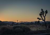 2020-04-28/80de6214e9658e092d35800c3c88c9a1_85f693c9cf51e852fc0f7149f53a5f6c