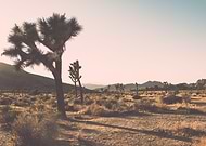 2020-04-28/c5ddf684c79384dcbb6f9ace00ae9b50_0d655badc4e966d2366f6589b26db33f