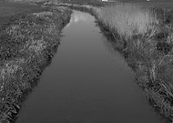 2020-04-28/f14f16819dc08279615a063c45bafedd_2dc5964ed0a72e3aa06a4982b8d2d67c