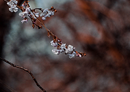 2020-04-29/91796a7190e12f5e3893d7b395247210_b6beffe744121e23963317304a682d49