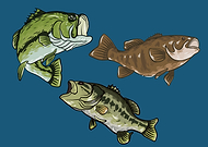 2020-04-30/073d103065293ed66d22595415bf3a40_9a0ef616cfde7751f36db77198d19dda